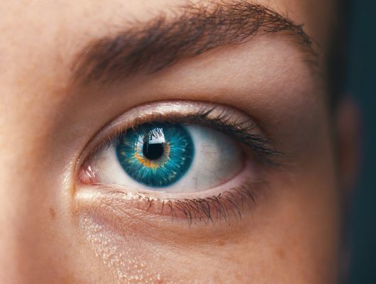 curated_images\individual\IT\AI og Machine learning\amanda-dalbjorn-UbJMy92p8wk-unsplash.jpg