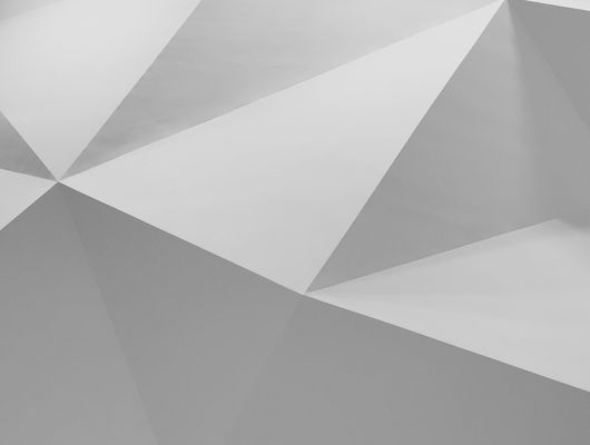 curated_images\individual\IT\AI og Machine learning\shapelined-_JBKdviweXI-unsplash.jpg