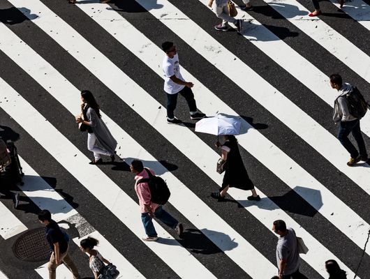 curated_images\individual\IT\IT-sikkerhed\ryoji-iwata-X53e51WfjlE-unsplash.jpg